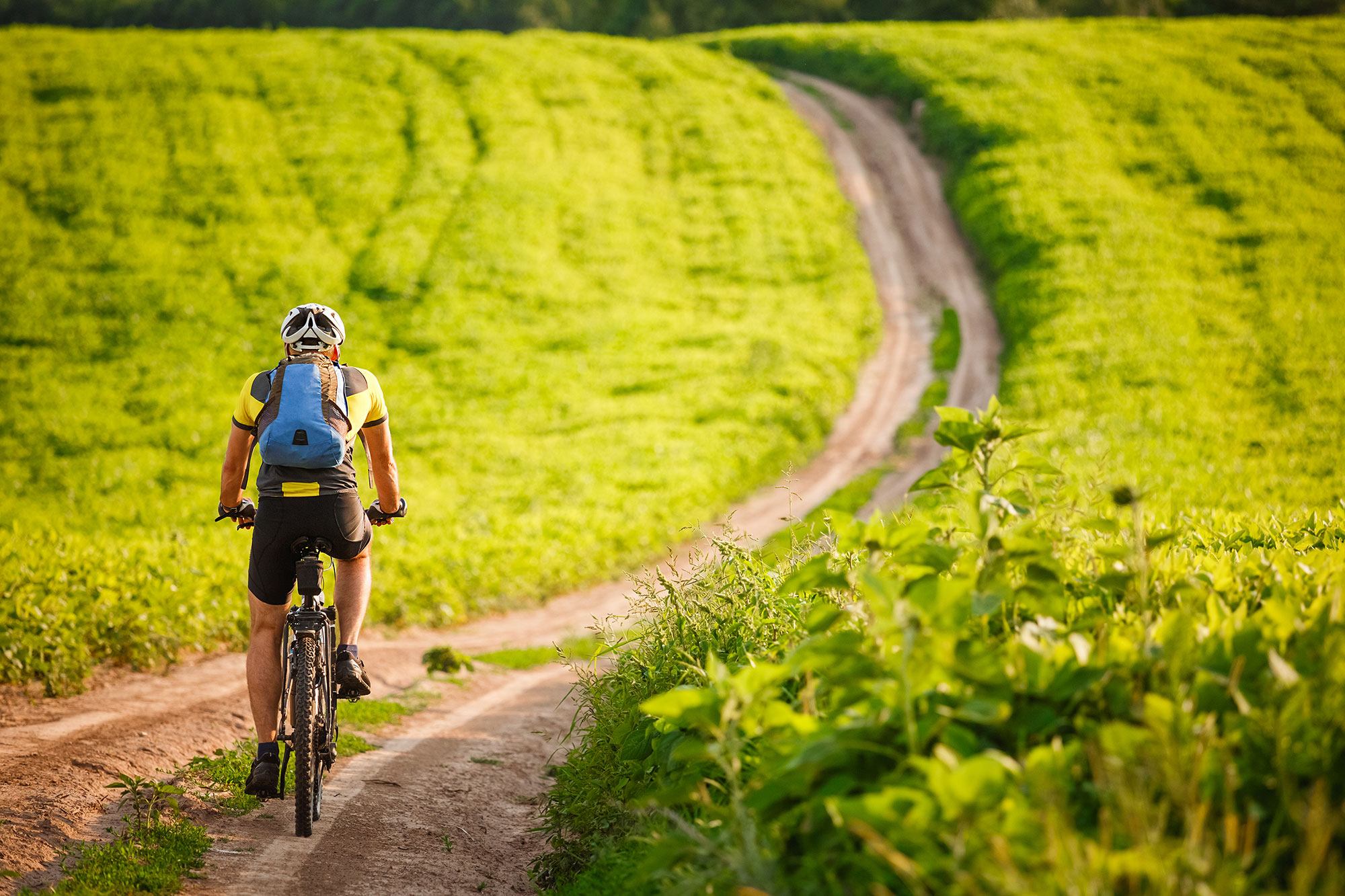 Fahrradfahrer auf einem Feldweg
