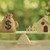 Geld und Haus auf einer Holzwaage