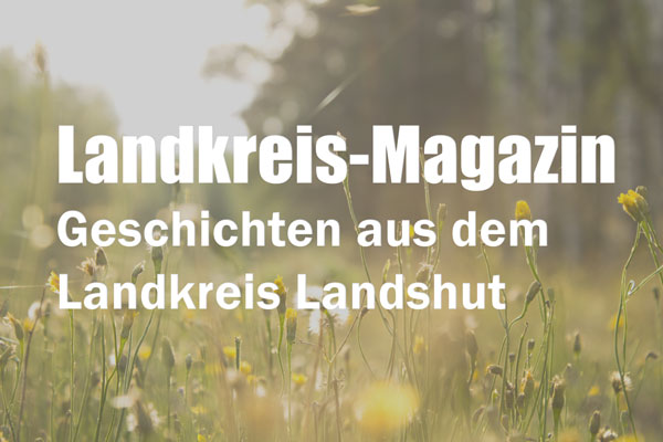 Landkreis Landshut Online-Zeitung