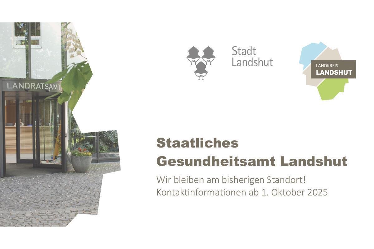 Flyer mit Kontaktinformationen des Gesundheitsamtes