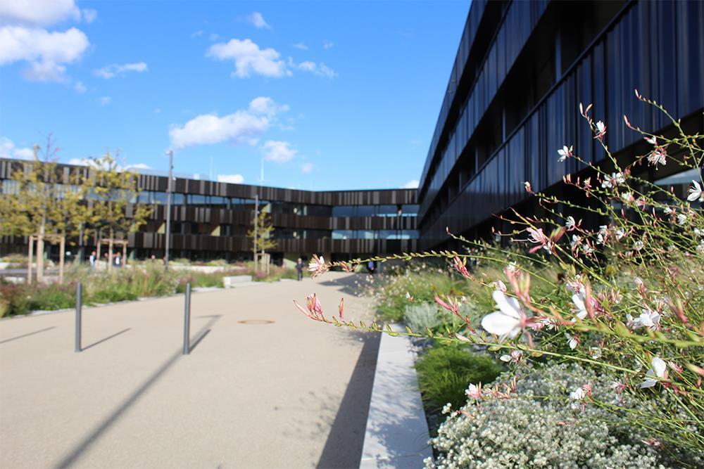Großer schwarzer Gebäudekomplex mit Blumen im Vordergrund